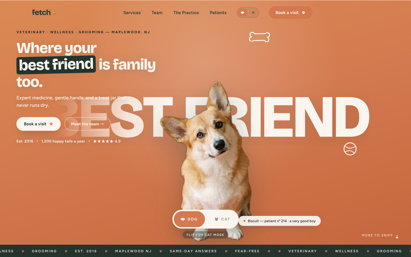 FETCH — Veterinary & pet care Framer template, home page on desktop