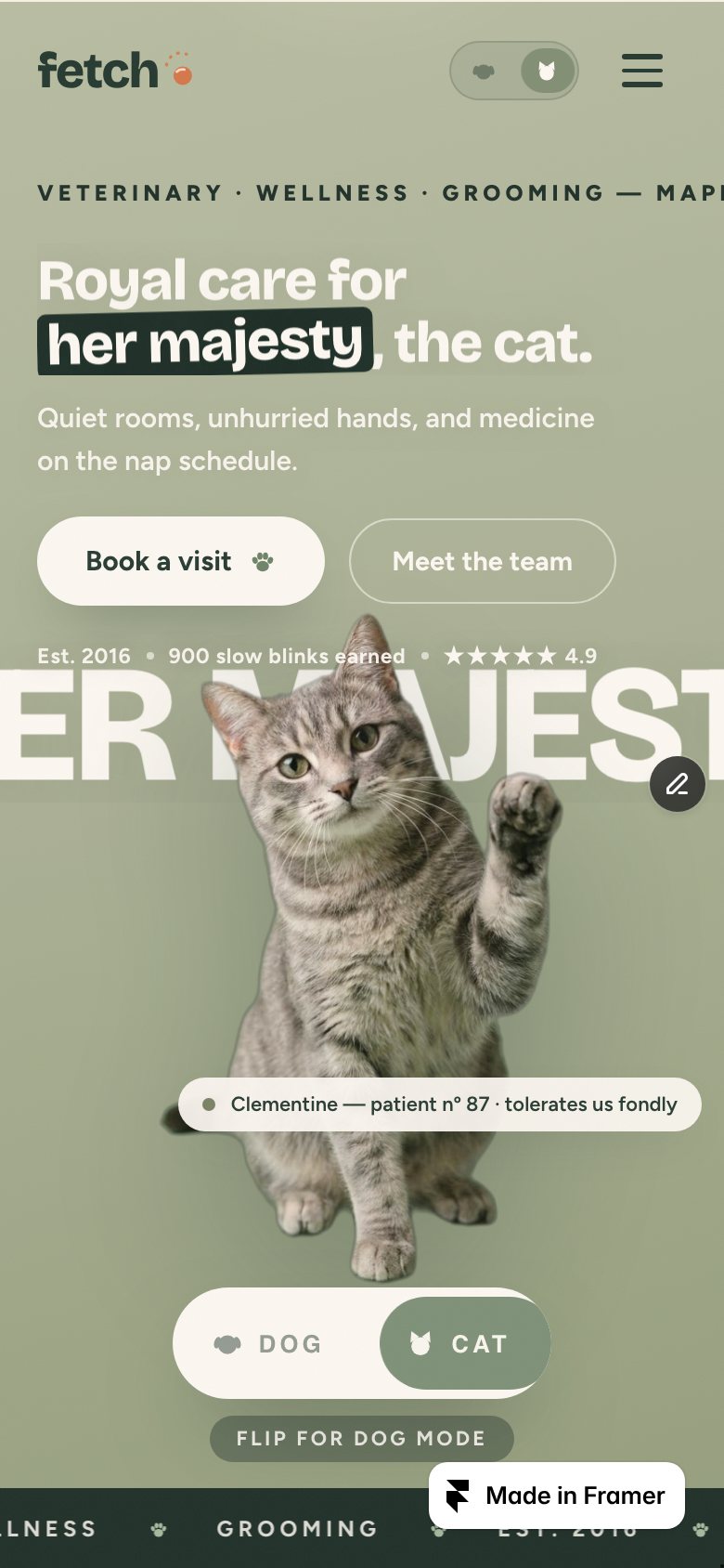 FETCH on a phone — the same Framer template at 390 px